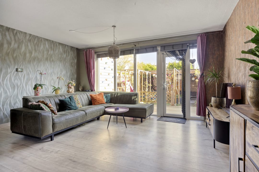 Foto 7 van Schijfmos 62