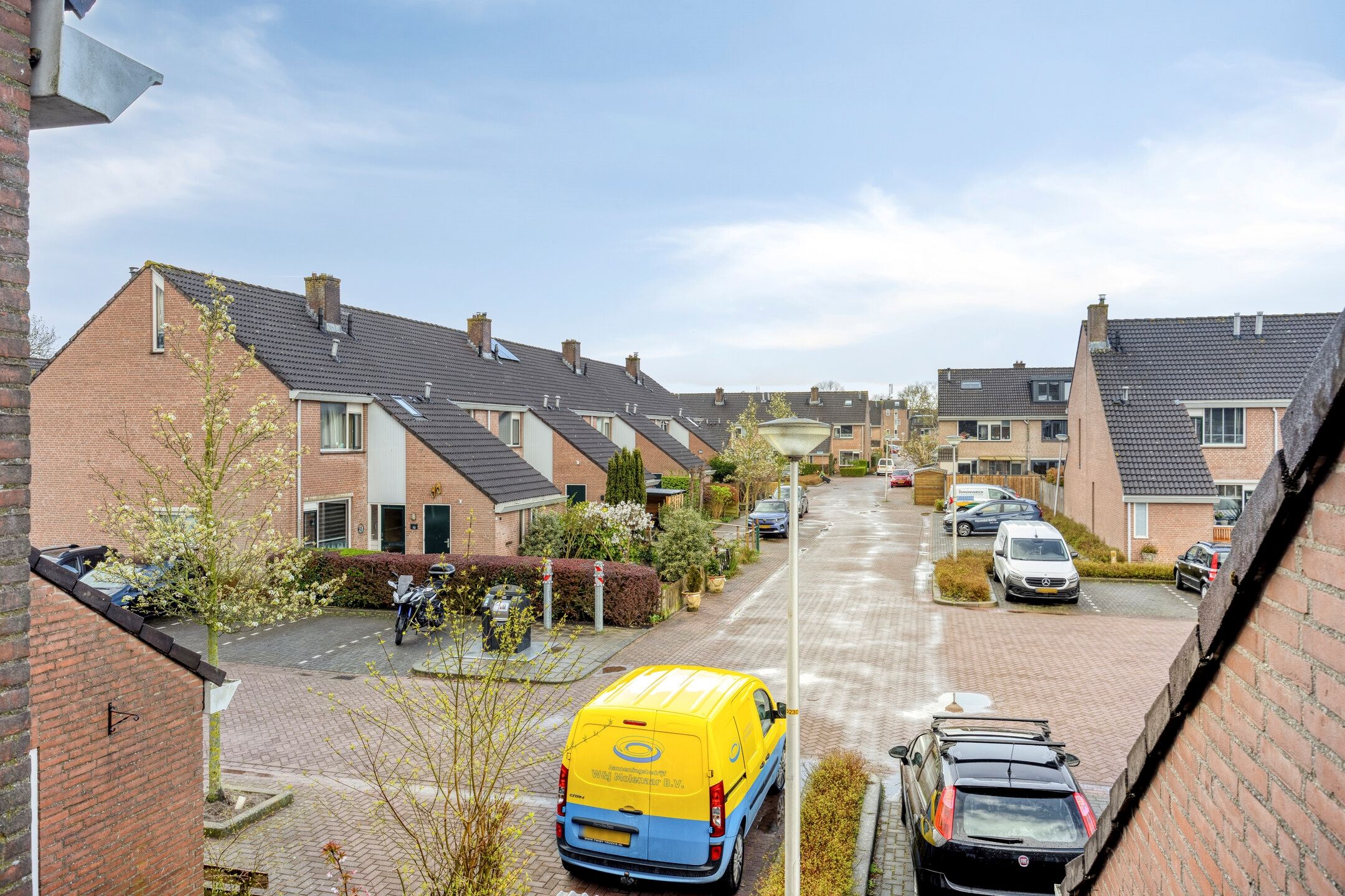 Foto 42 van Schijfmos 62