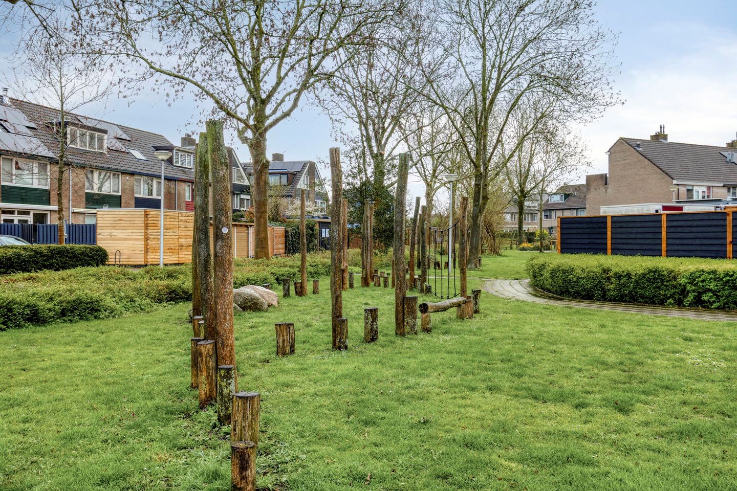 Foto 44 van Schijfmos 62