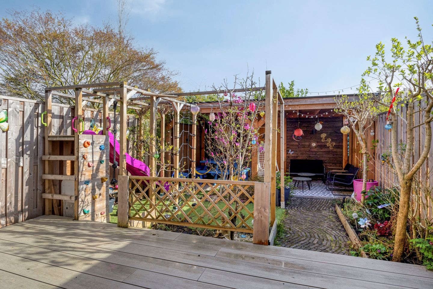 Foto 29 van Schijfmos 62