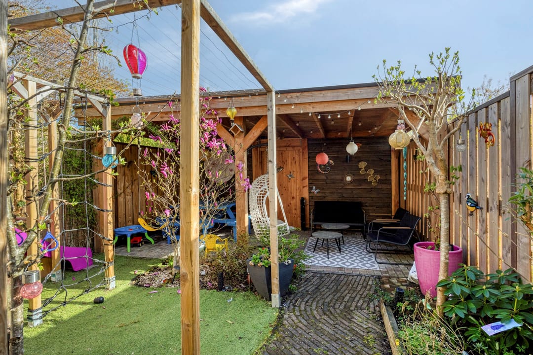 Foto 32 van Schijfmos 62