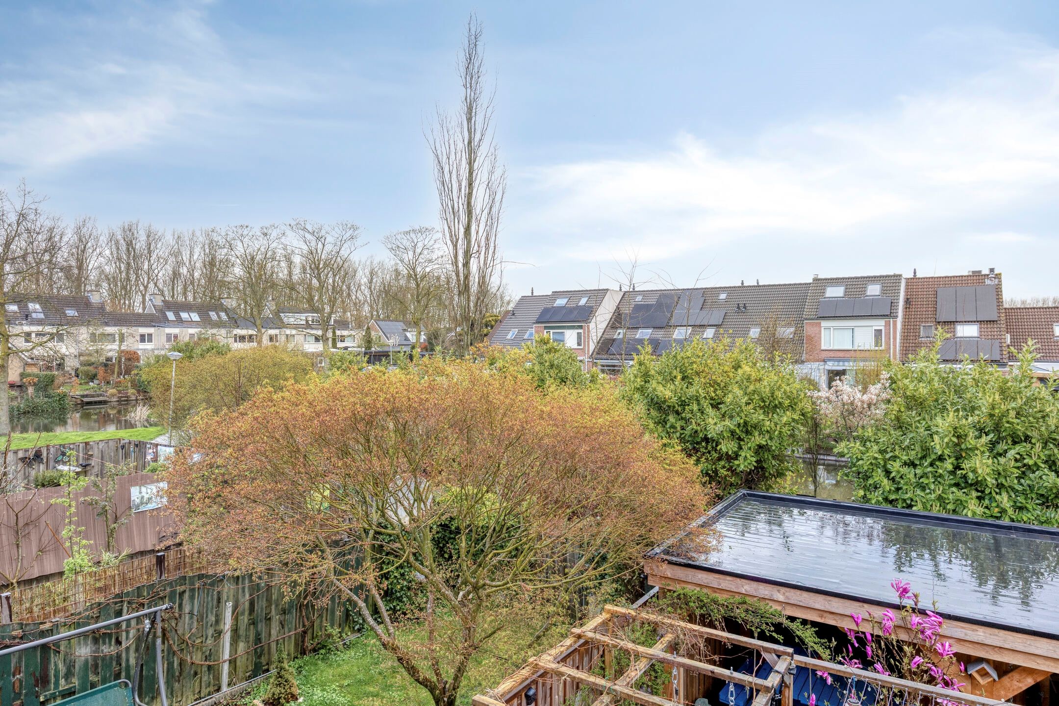 Foto 36 van Schijfmos 62