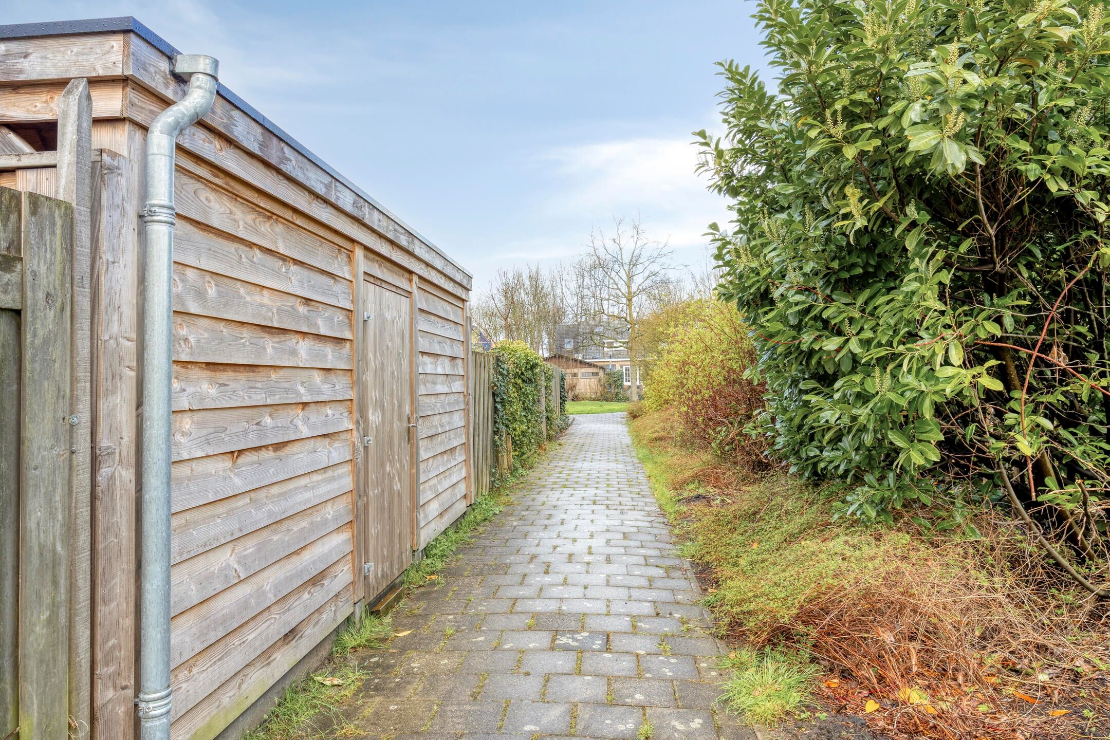 Foto 39 van Schijfmos 62