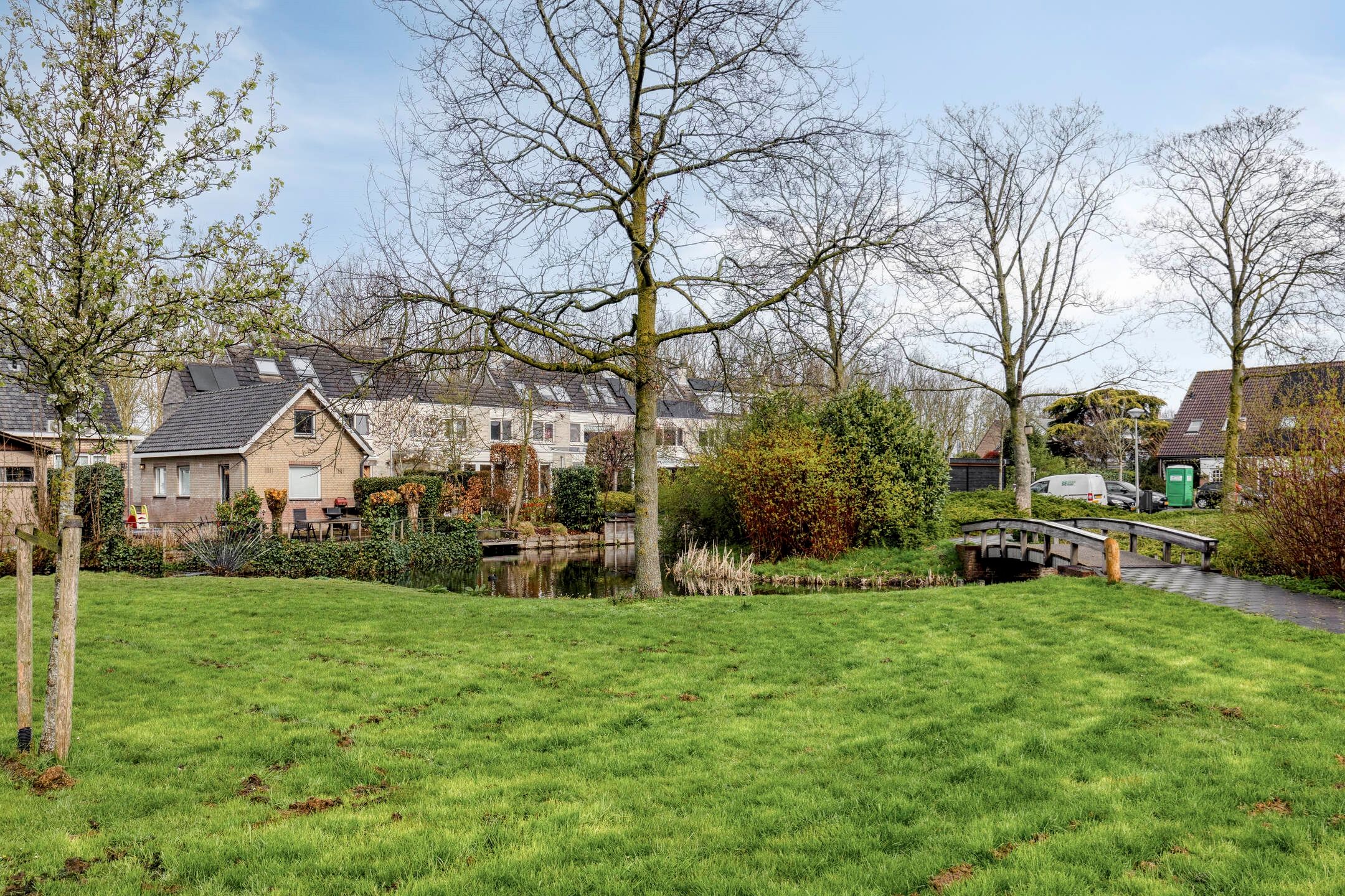 Foto 45 van Schijfmos 62