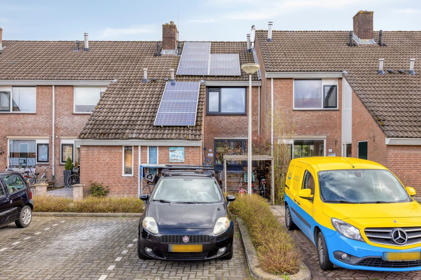 Foto 5 van Schijfmos 62