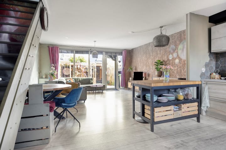 Photo 4 of Schijfmos 62