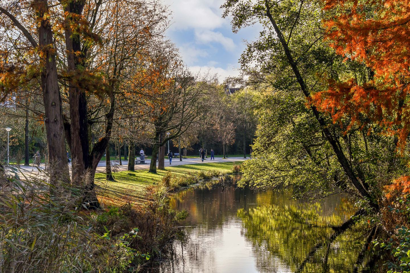 Foto 35 van Lomanstraat 58-H