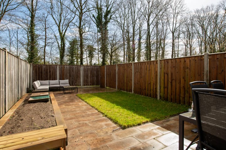 Foto 5 van de Narcis 13