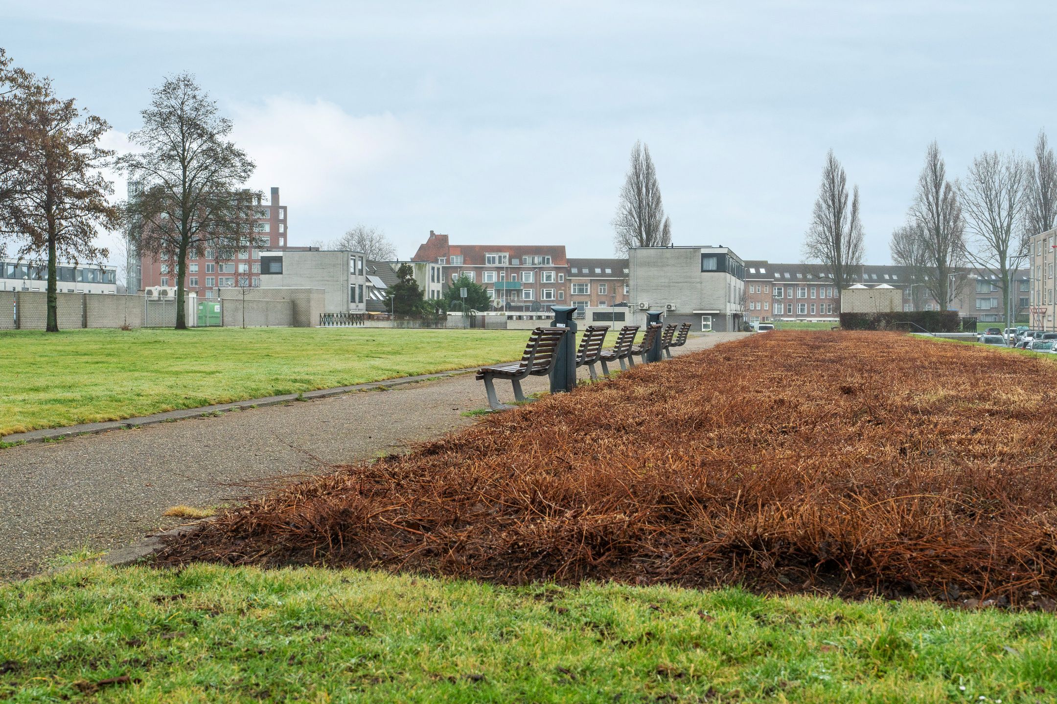 Foto 39 van Vlaskade 110