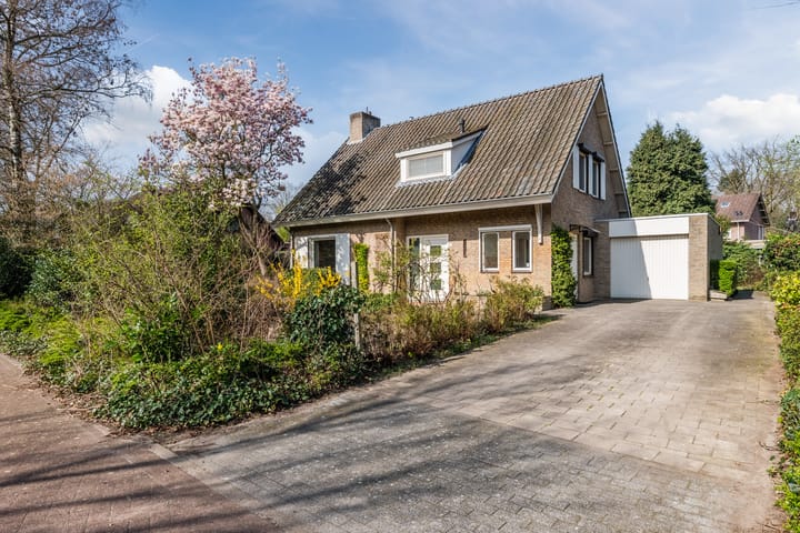 Wegedoorn 32 main image