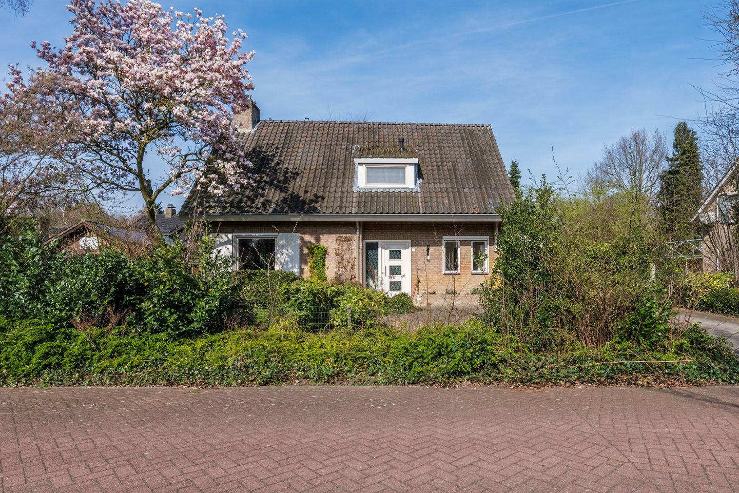 Foto 35 van Wegedoorn 32