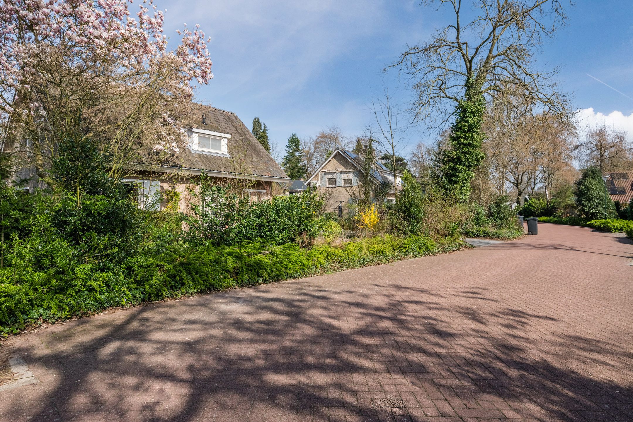 Foto 39 van Wegedoorn 32