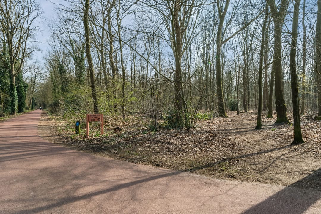 Foto 41 van Wegedoorn 32