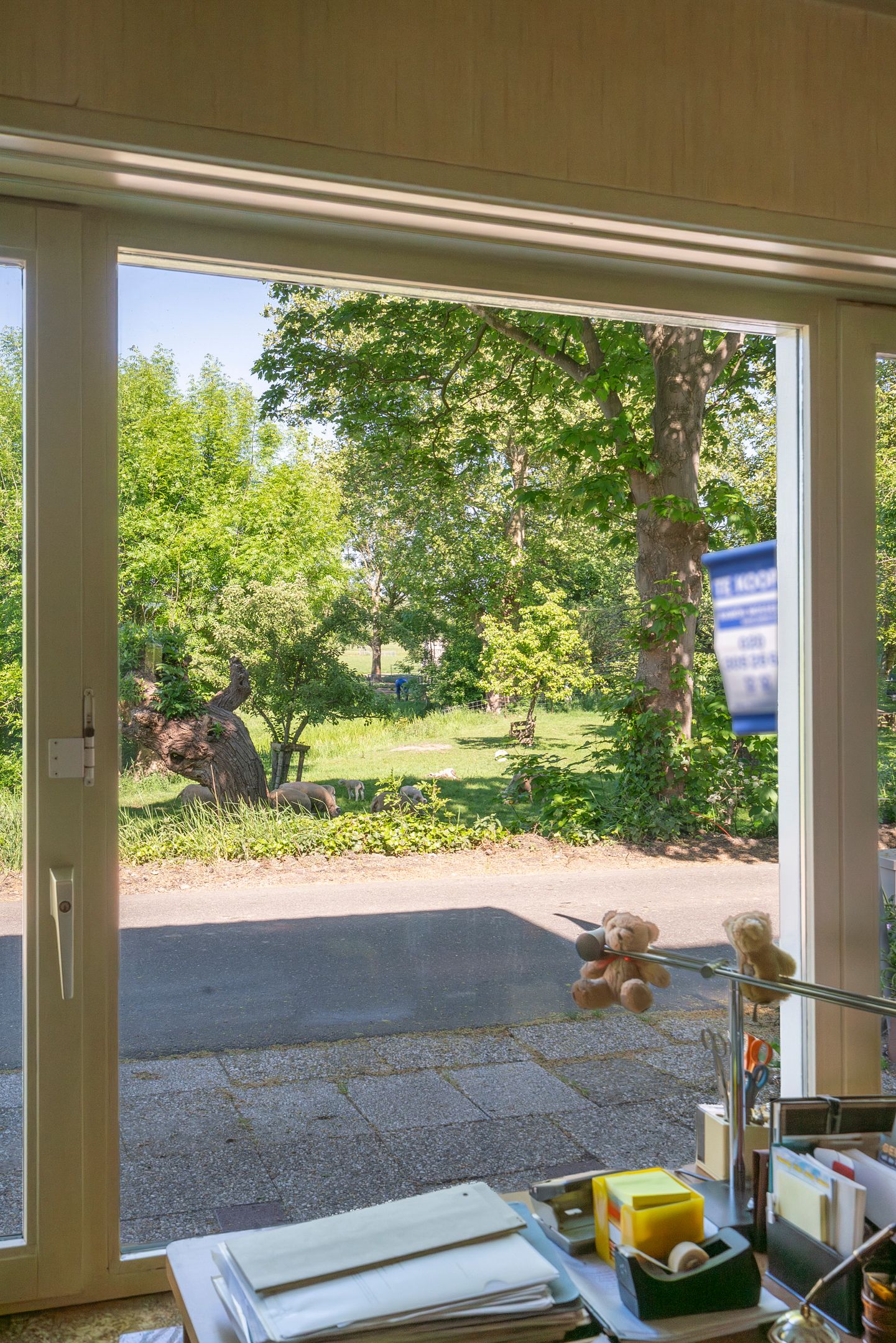 Foto 12 van Gein-Noord 16