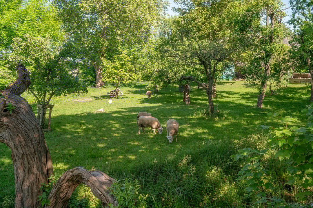 Foto 58 van Gein-Noord 16