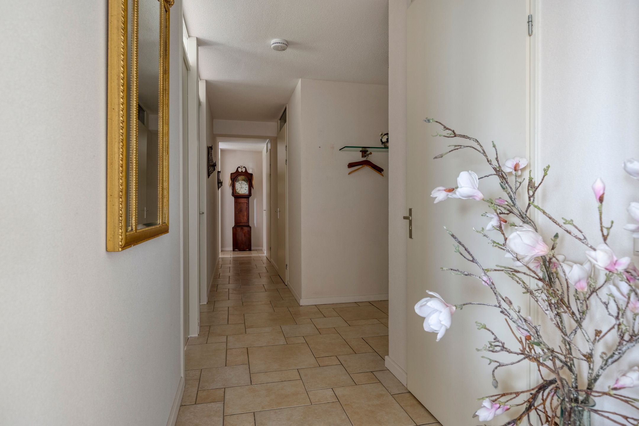 Foto 9 van Colosseum 53