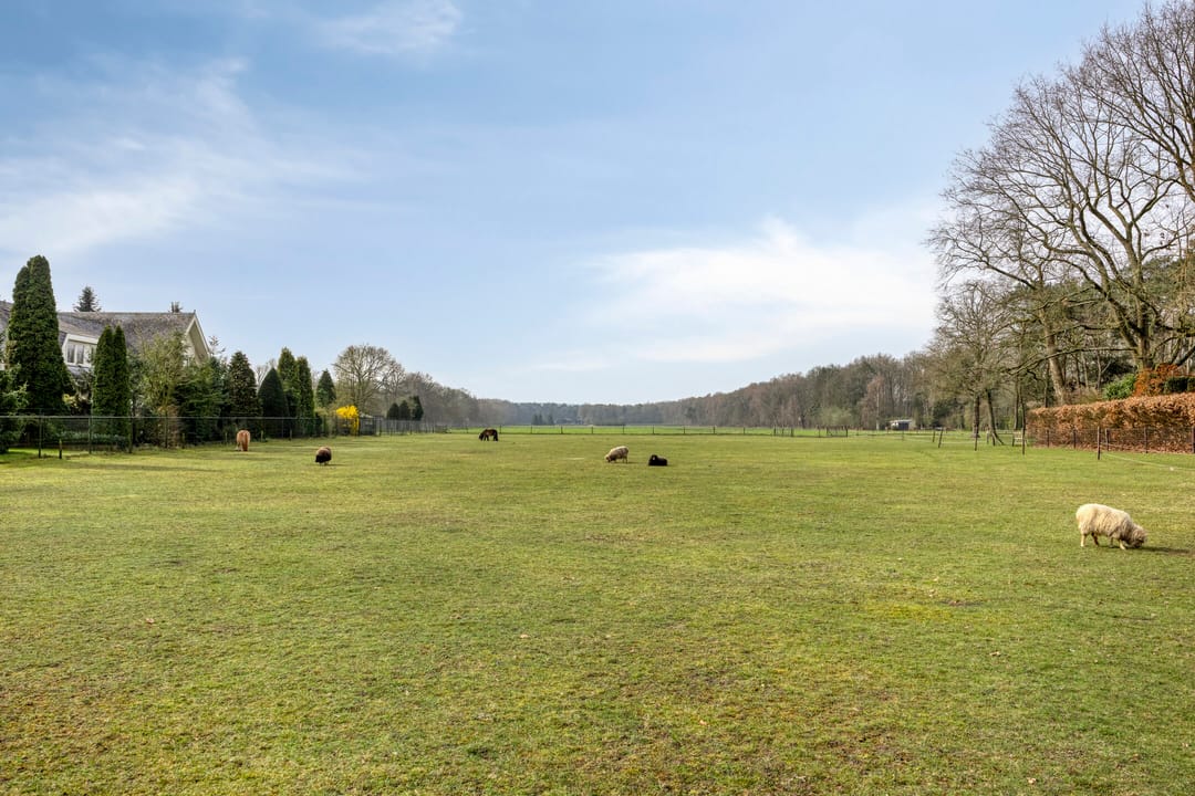 Foto 38 van De Monding 26