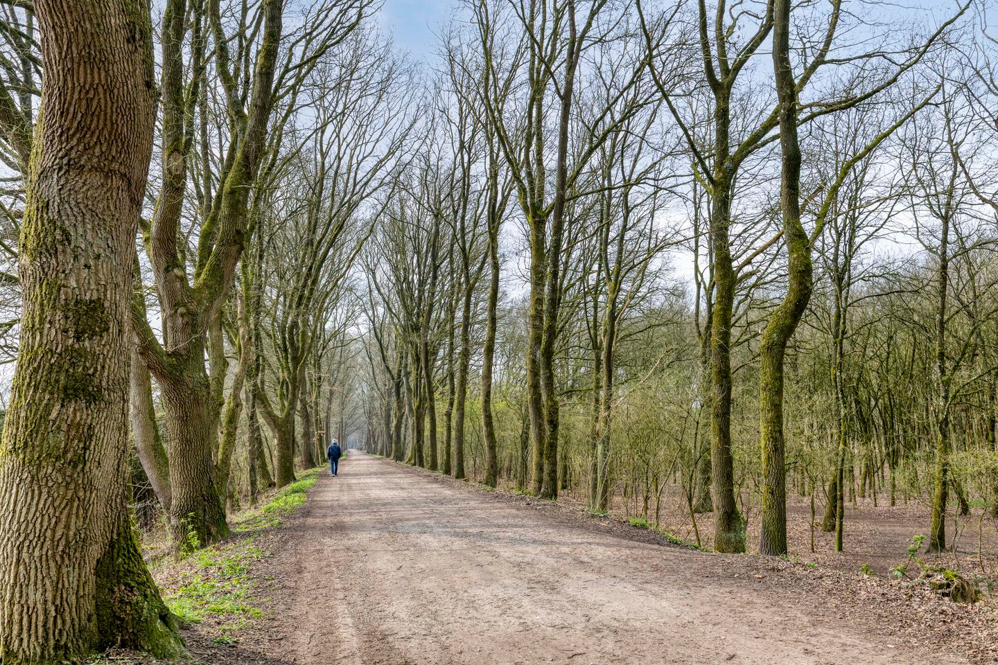 Foto 40 van De Monding 26