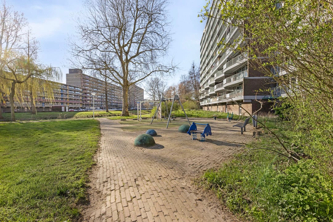 Photo 22 of Alferbos 6