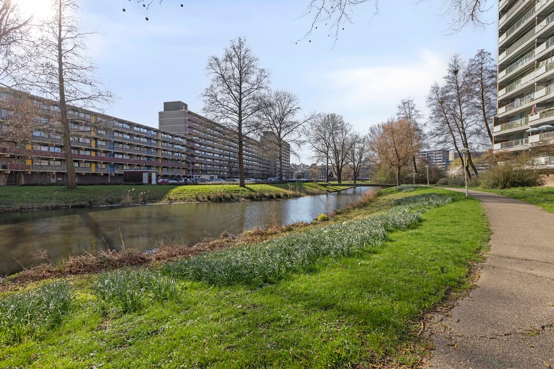 Photo 23 of Alferbos 6