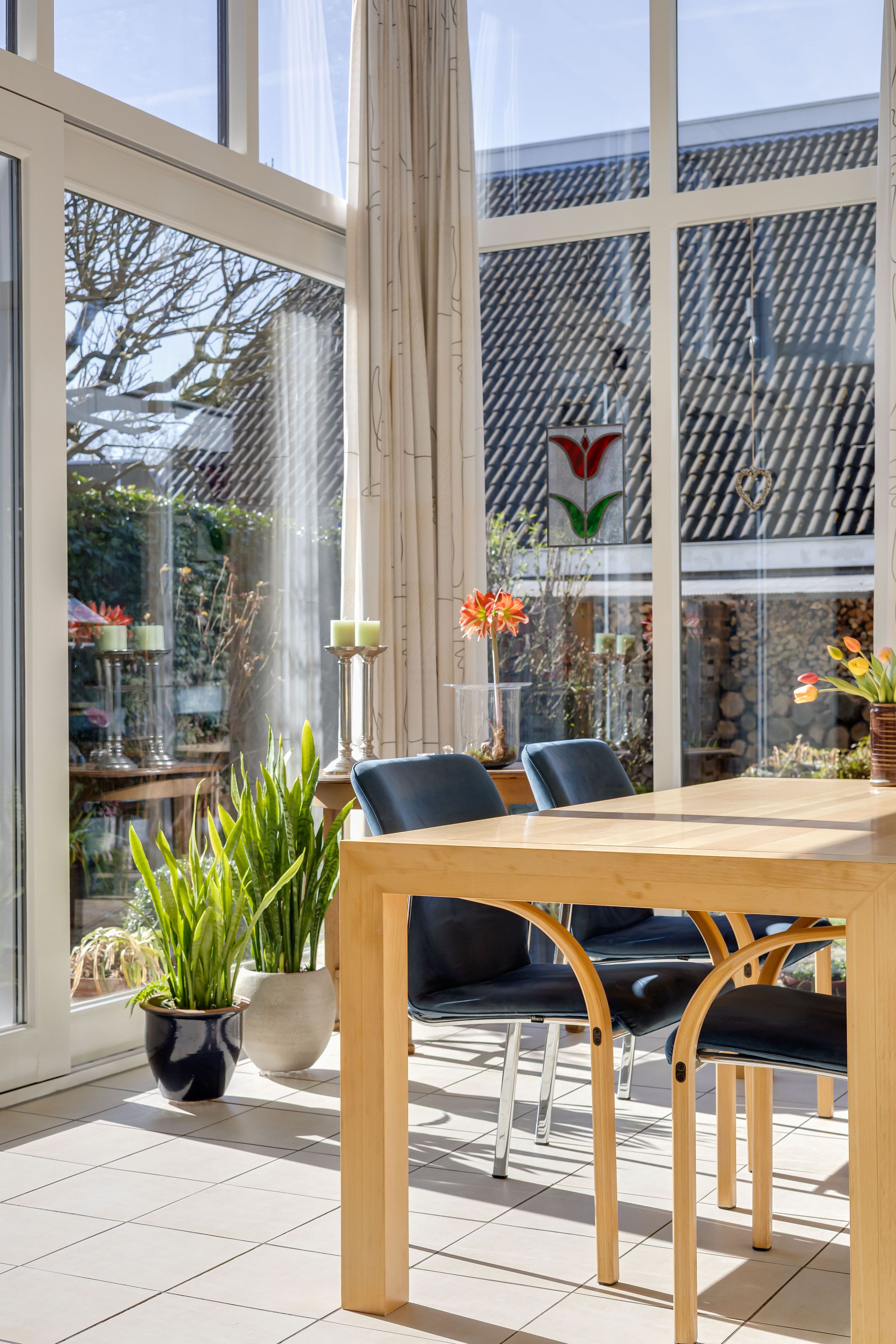 Foto 12 van Pinksterbloem 71