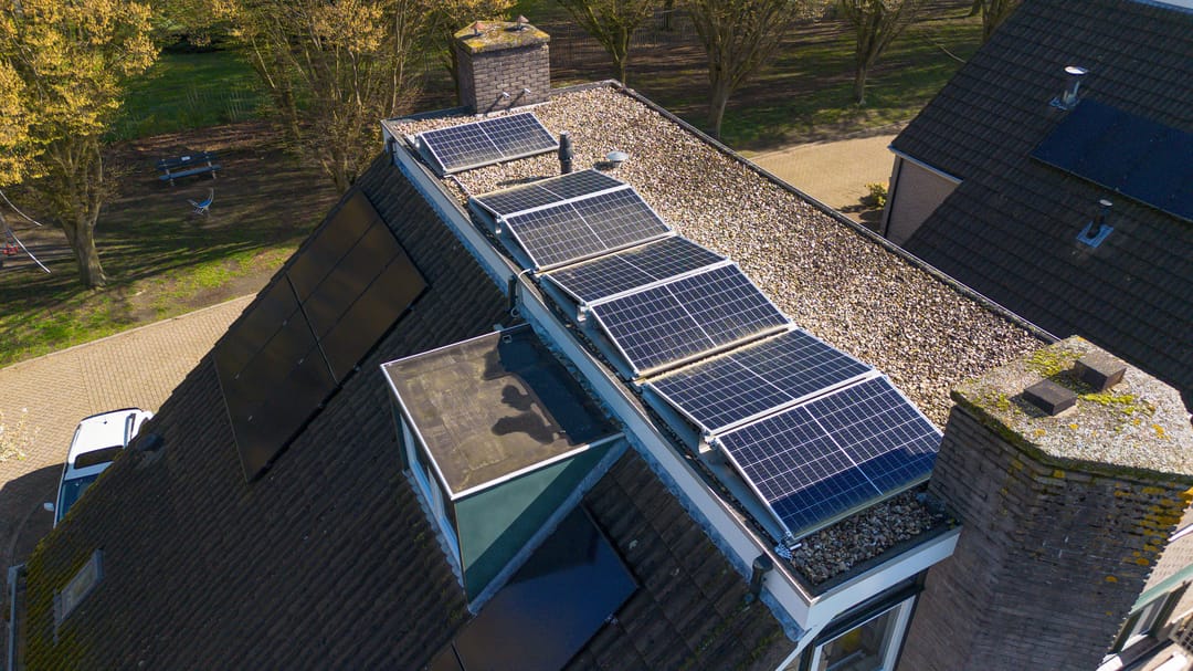 Foto 47 van Pinksterbloem 71