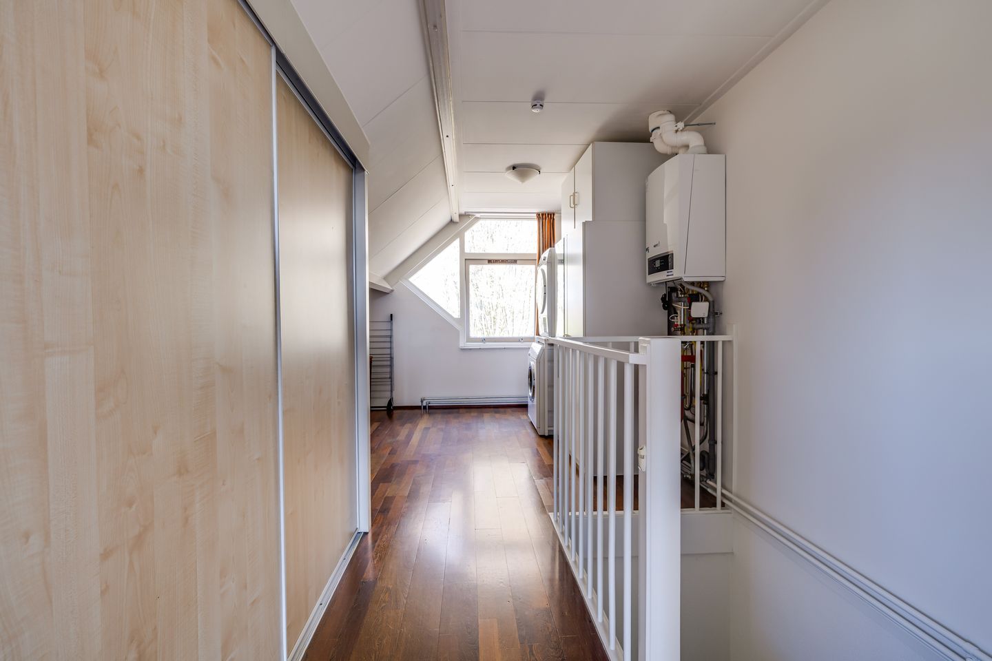 Foto 35 van Pinksterbloem 71