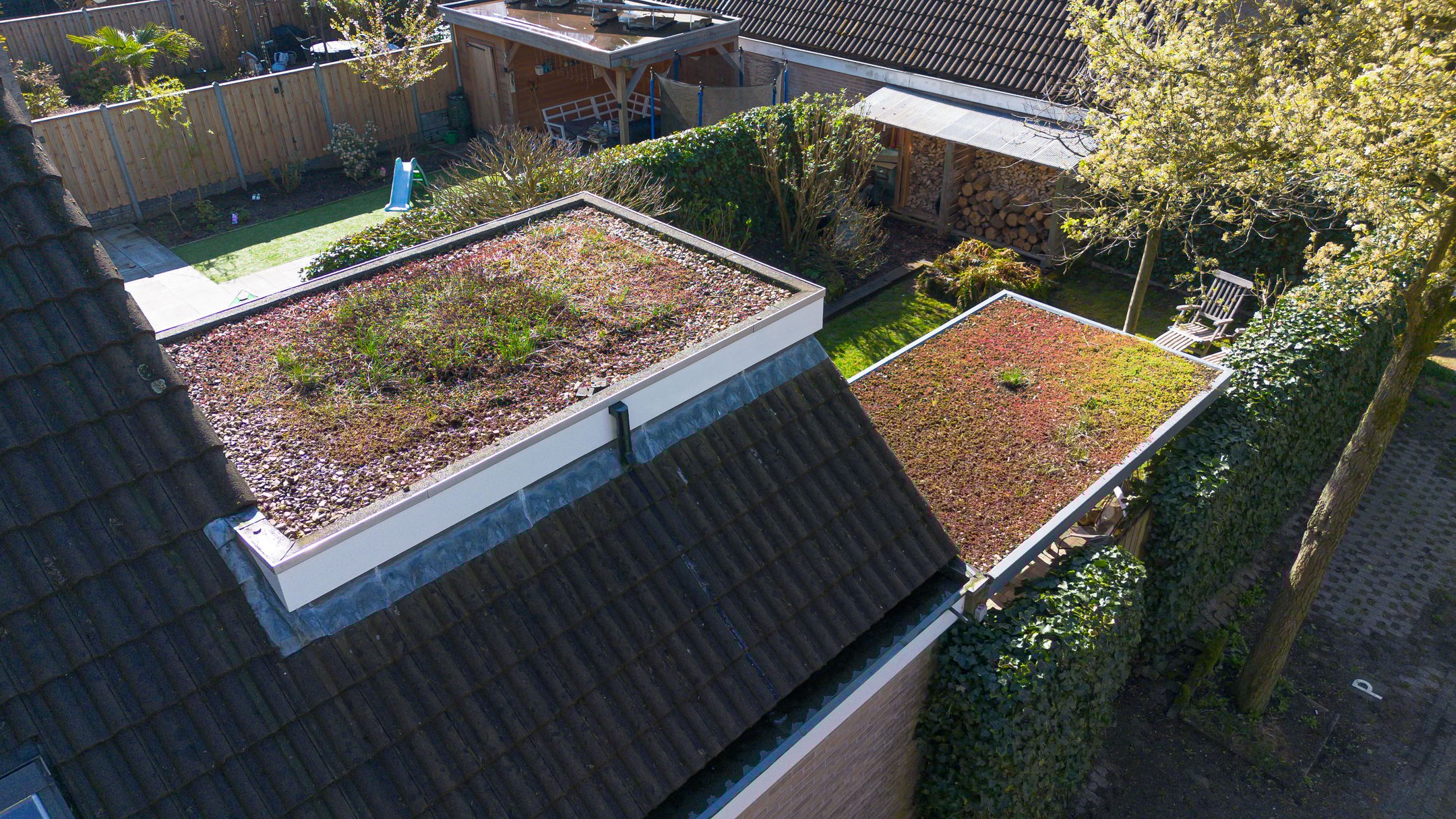 Foto 48 van Pinksterbloem 71