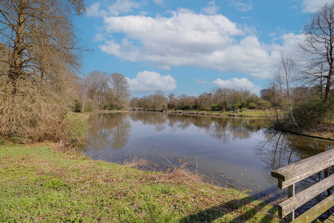 Foto 52 van Pinksterbloem 71