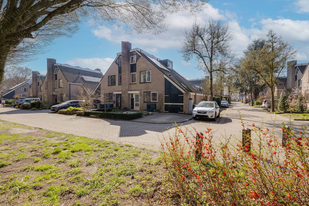 Foto 53 van Pinksterbloem 71