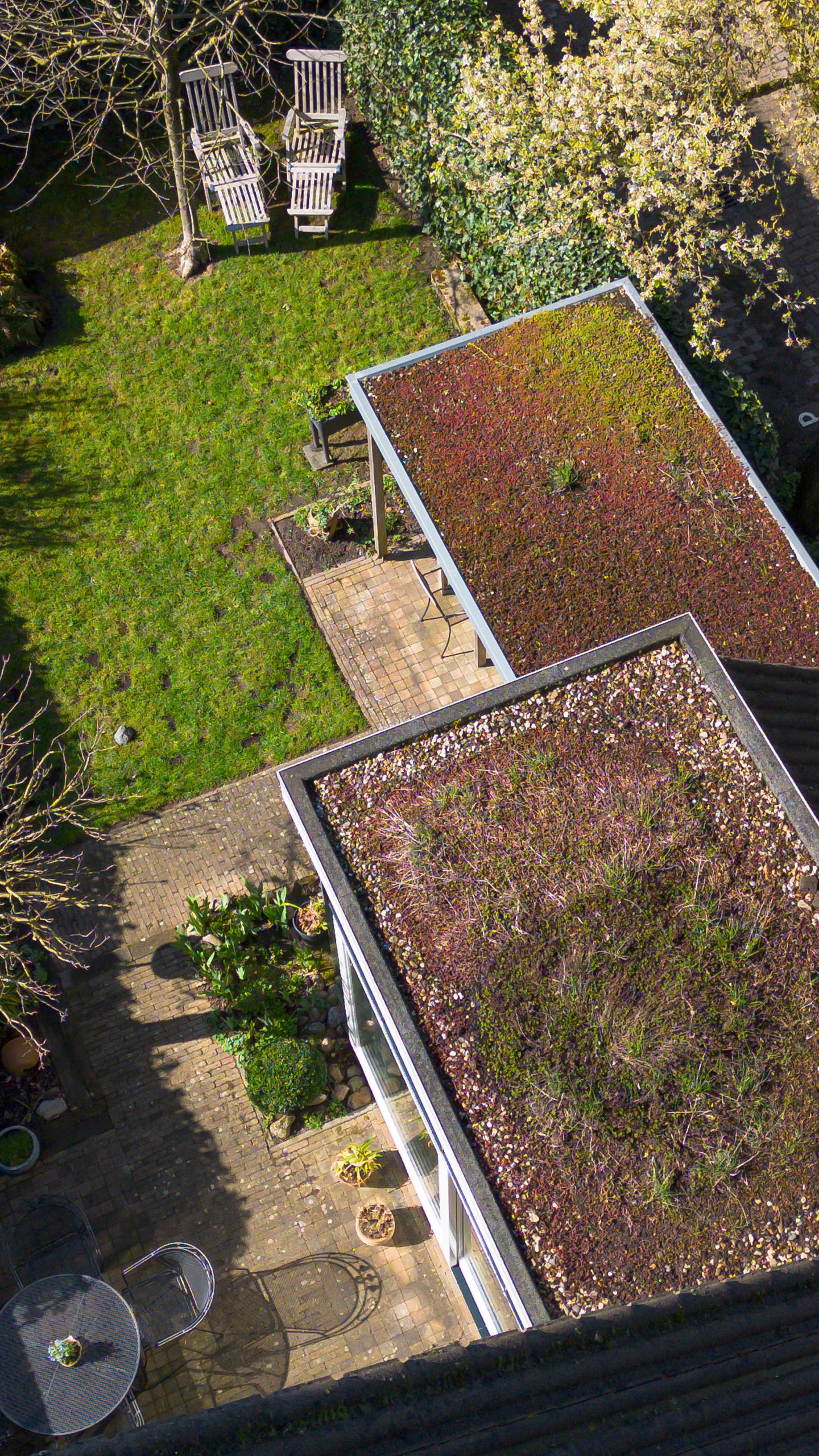 Foto 49 van Pinksterbloem 71