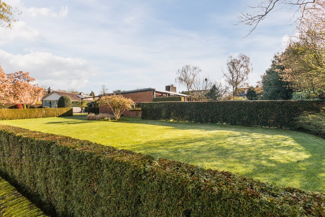 Foto 46 van Burggraafstraat 3