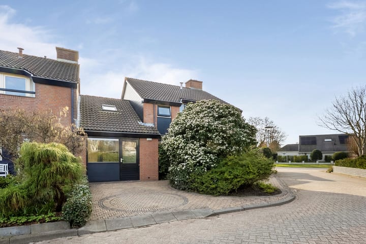 Foto 5 van Vogelzand 2527