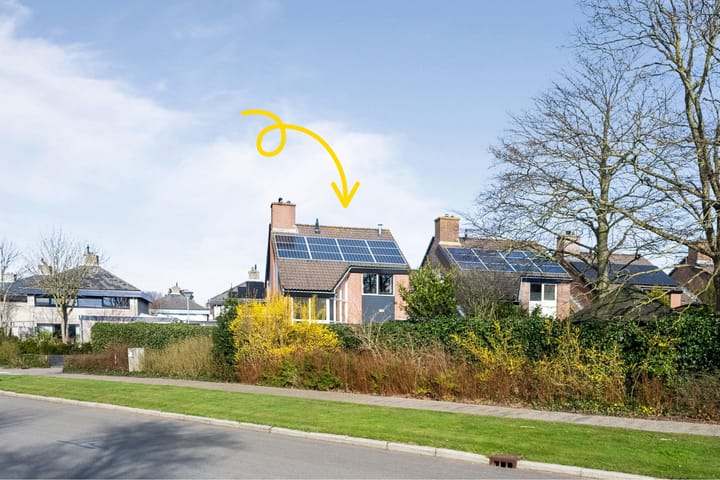 Foto 2 van Vogelzand 2527