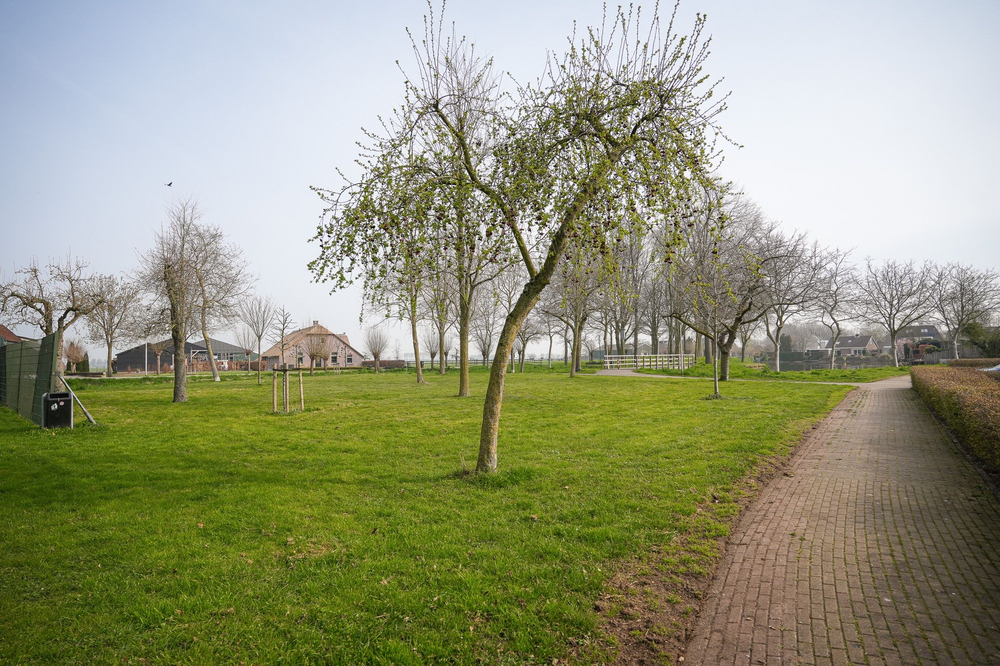 Photo 30 of Frans L. Blomlaan 59