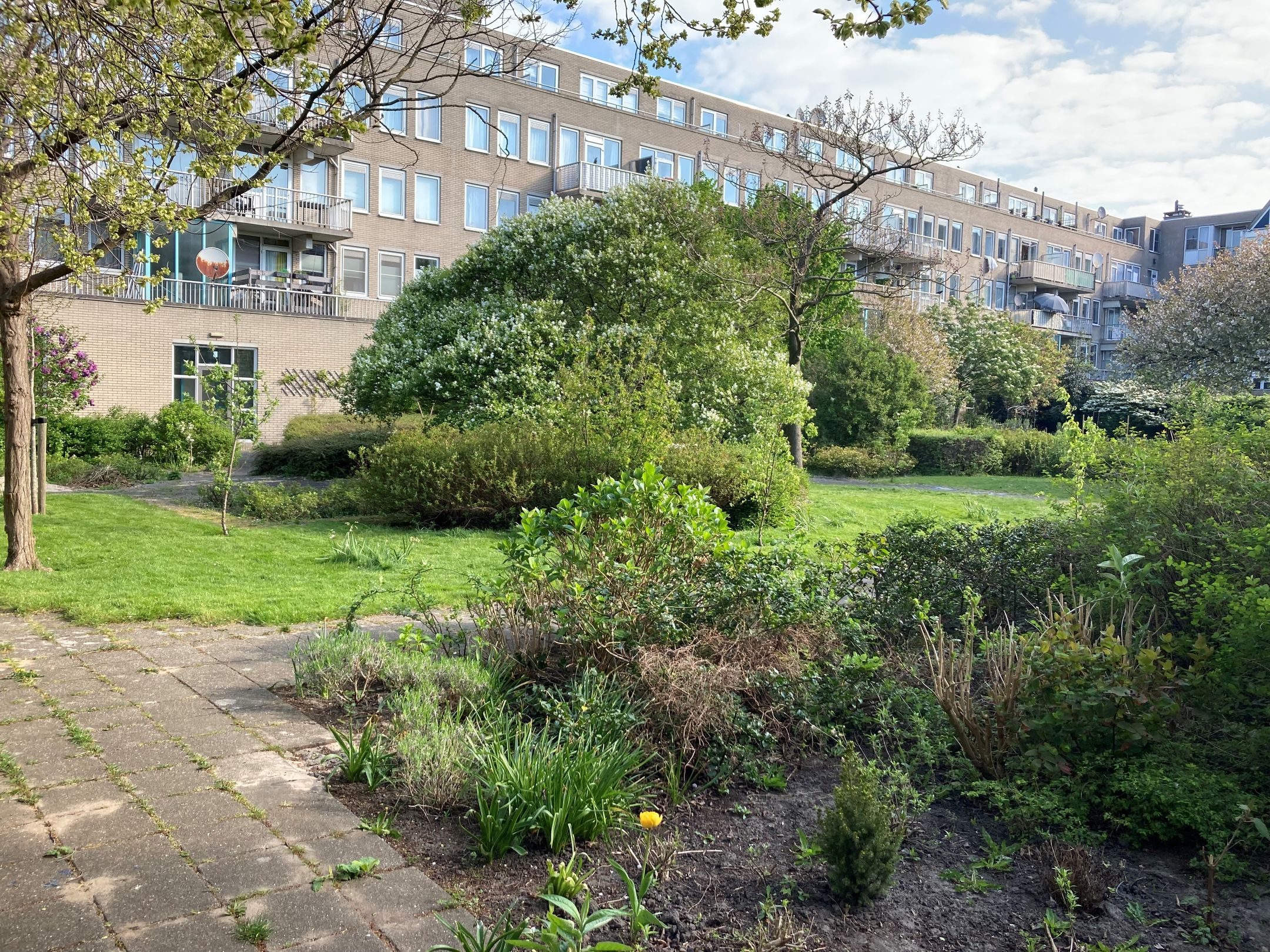 Photo 36 of Tweede Oosterparkstraat 69-A