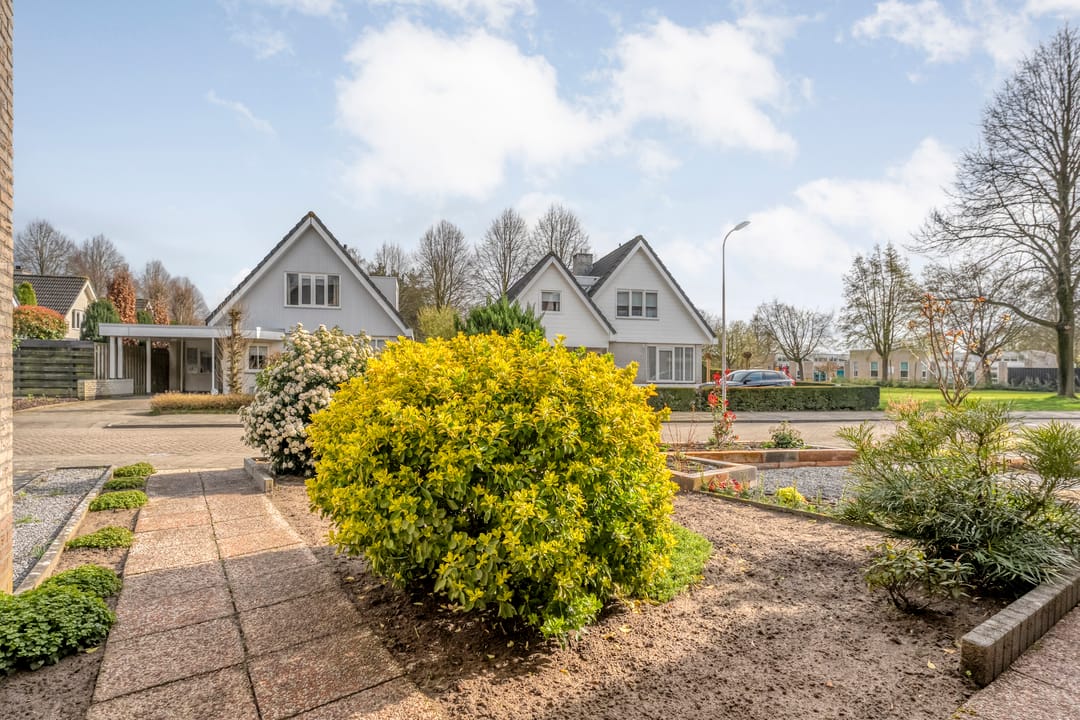 Photo 8 of Gieteling 45