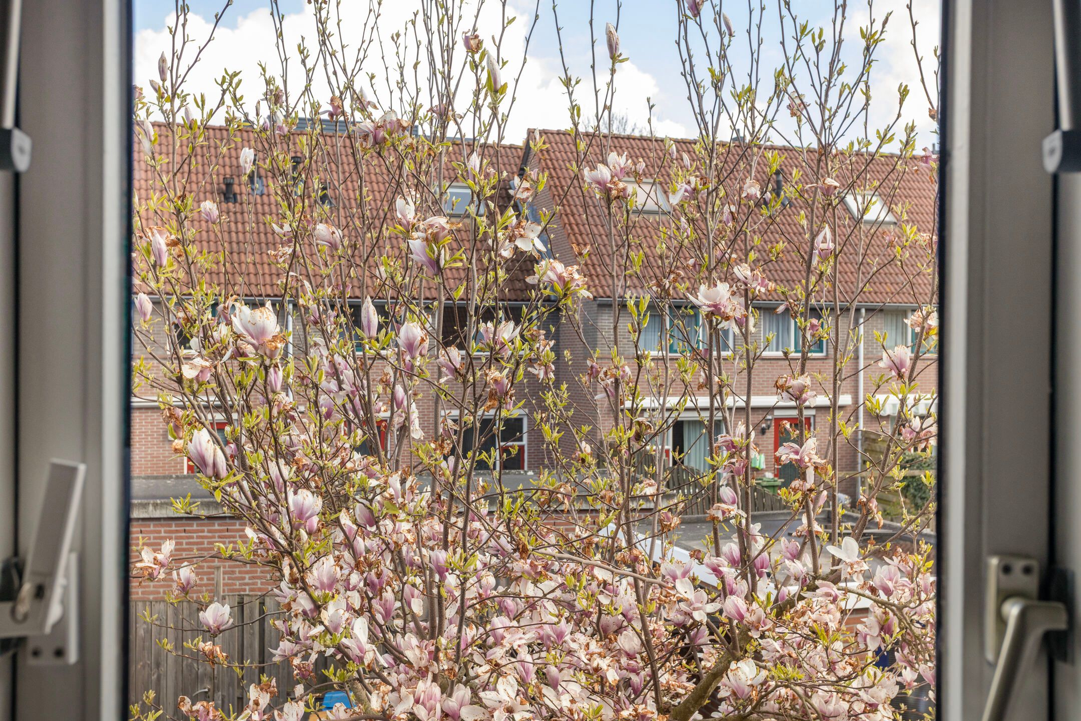 Foto 21 van Almensestraat 9