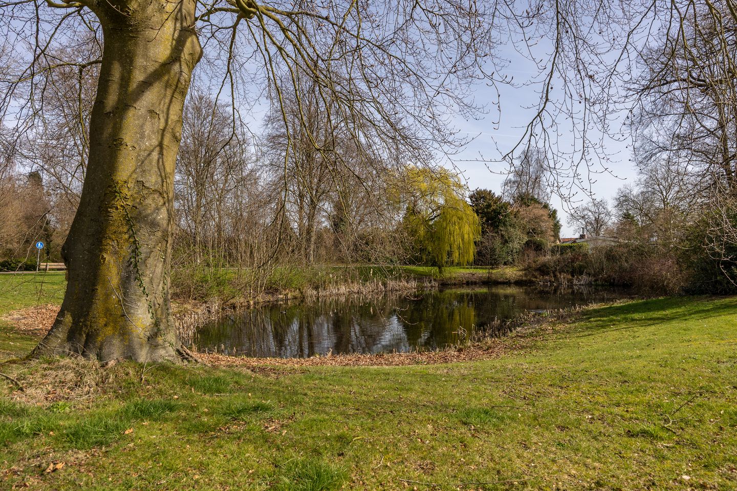 Photo 49 of Ravenhorst 28