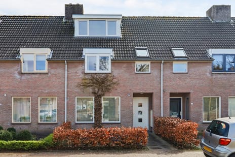 undefined main image