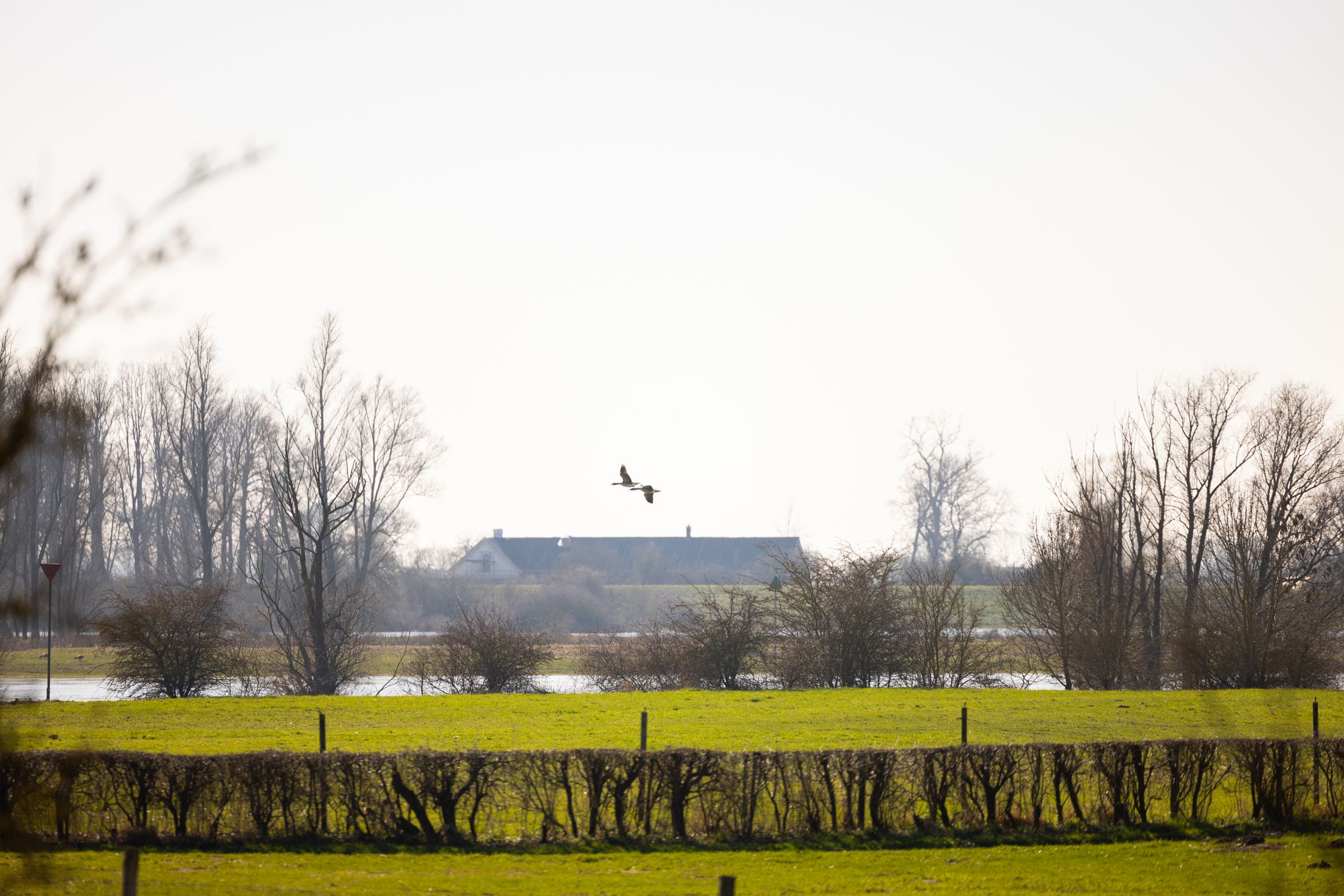 Photo 66 of Bronsbergen 4-A