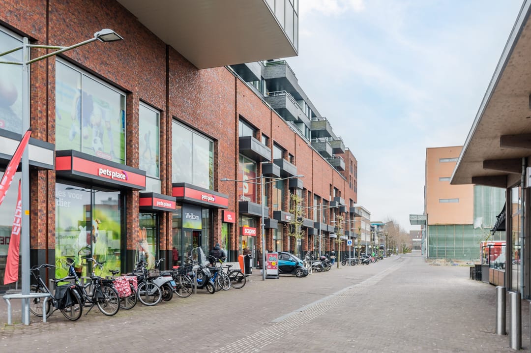 Photo 53 of Manegelaan 26