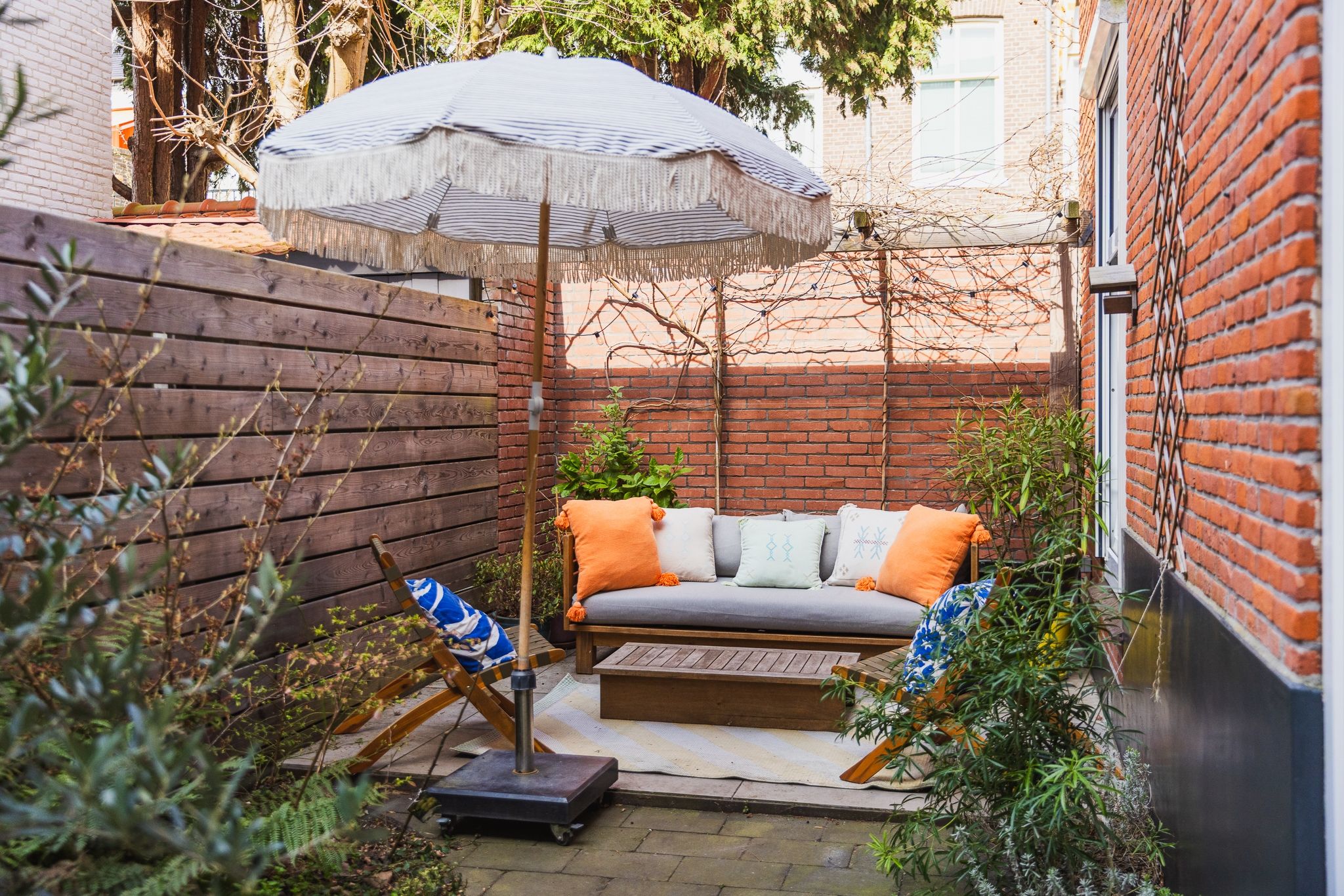 Foto 3 van Obrechtstraat 223