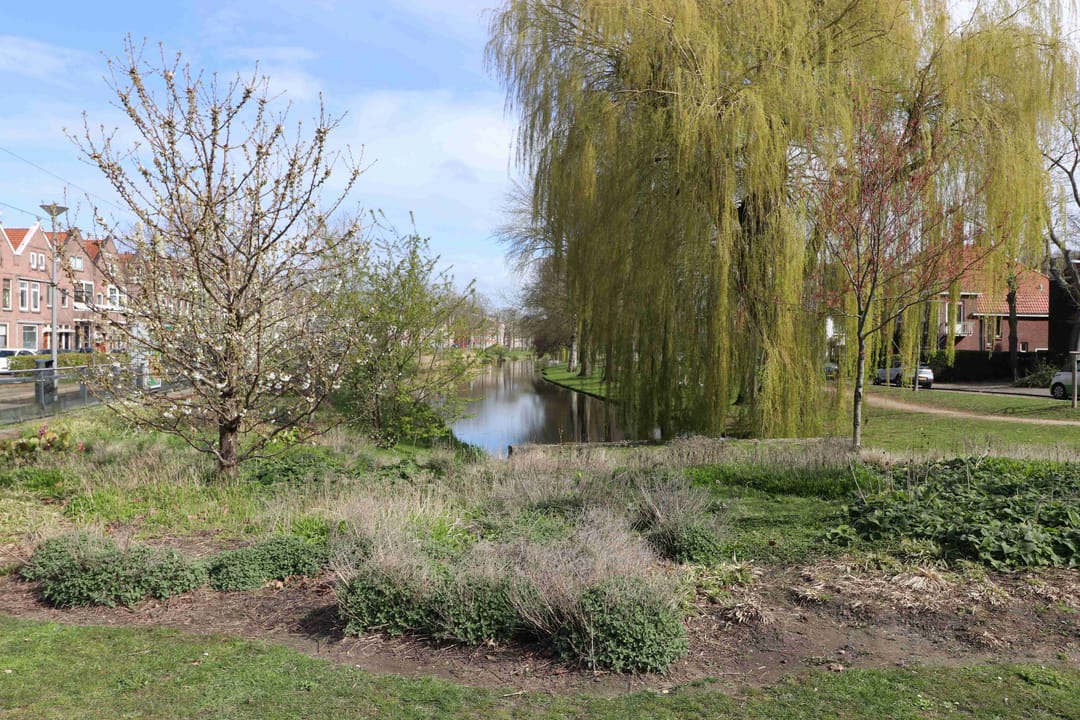 Photo 37 of Boergoensevliet 162