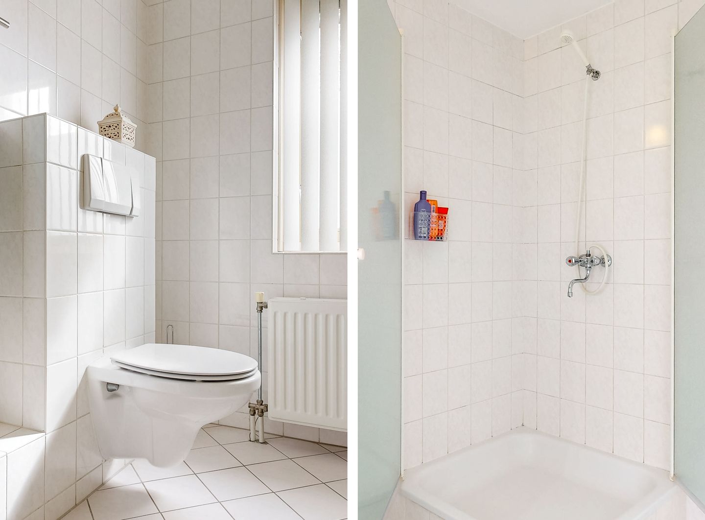 Foto 19 van Duifkruid 119