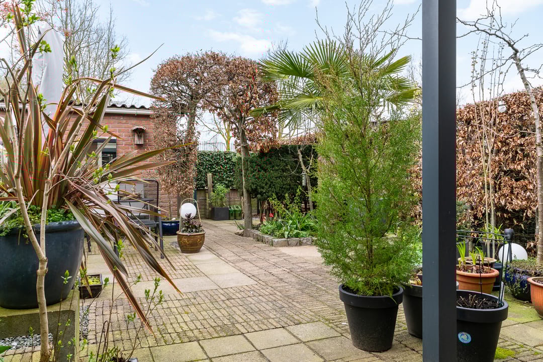 Foto 26 van Duifkruid 119