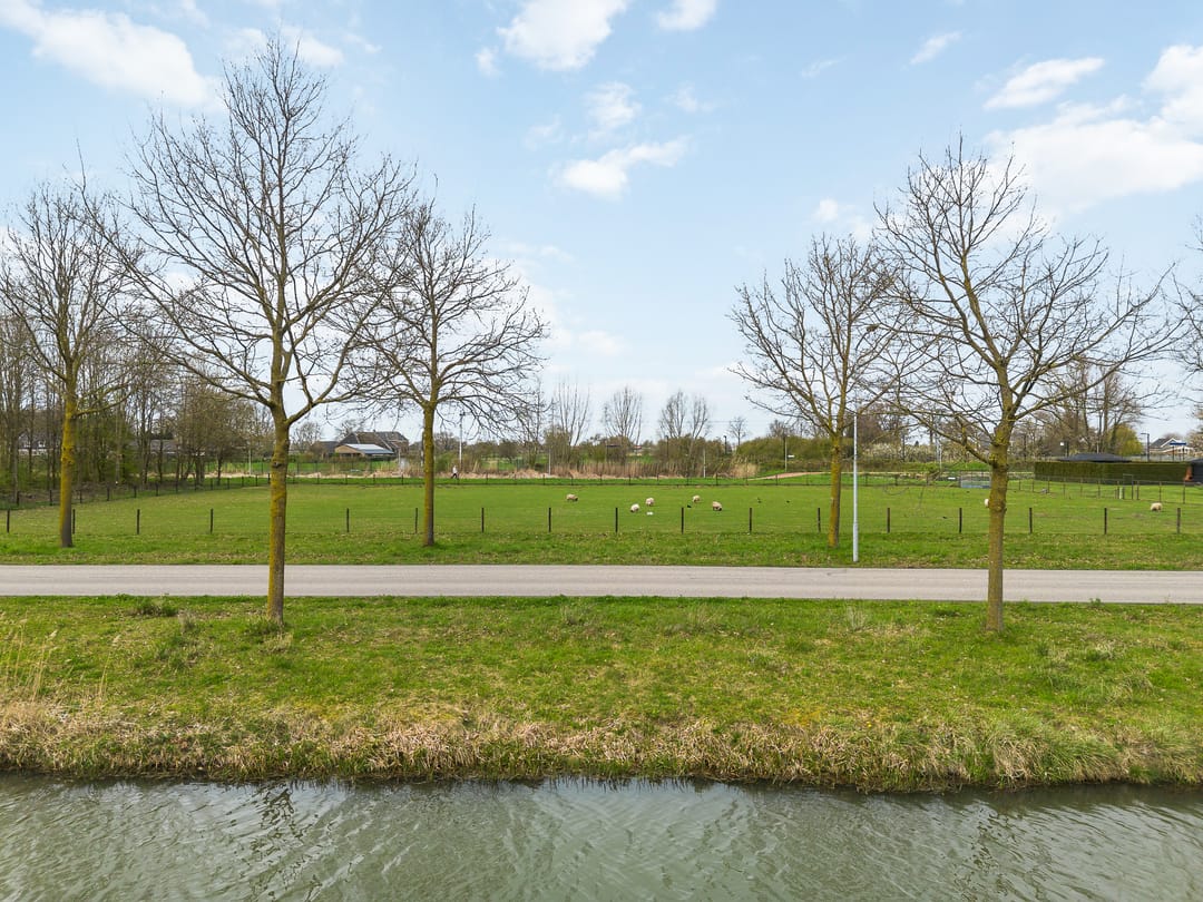 Foto 31 van Duifkruid 119