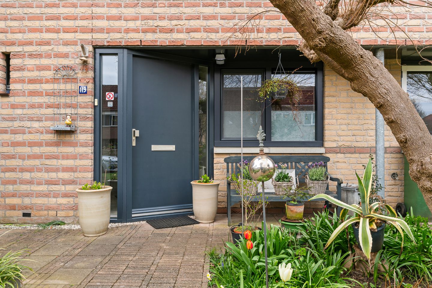 Foto 4 van Duifkruid 119