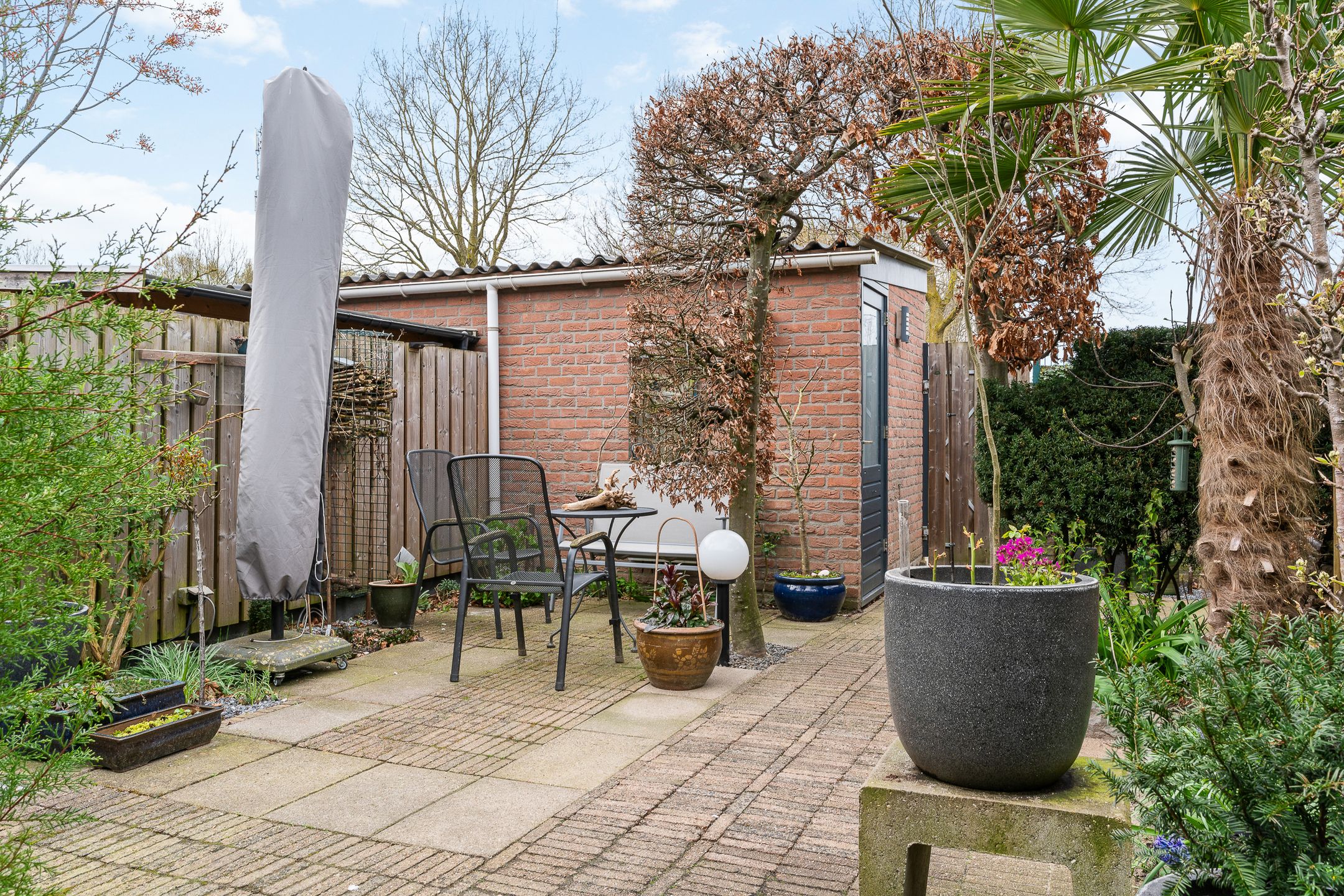 Foto 27 van Duifkruid 119