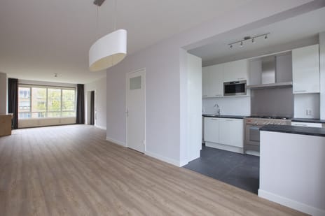 Van Alkemadelaan thumbnail